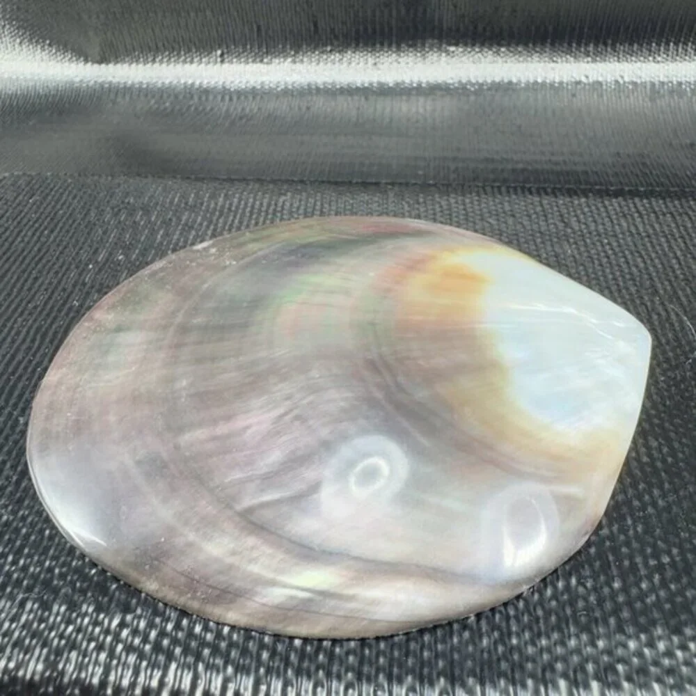 1999 Natural Abalone Shell‎ Iridescent Smooth Etched Mother Of Pearl World Peace